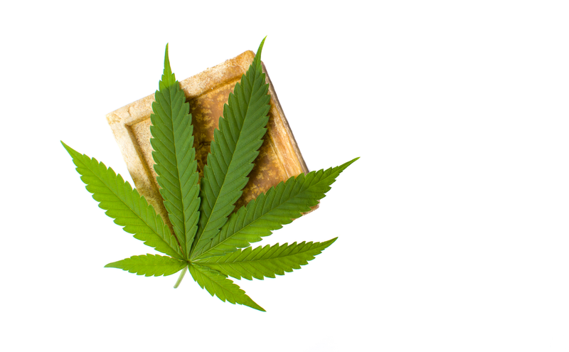 Illustration for article titled High on Beauty: Cannabinoids 101